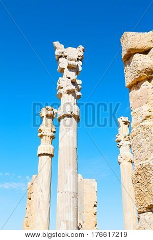 In Iran          Persepolis