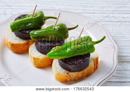 pinchos Burgos morcilla with padron pepper tapas pintxos from Spain food