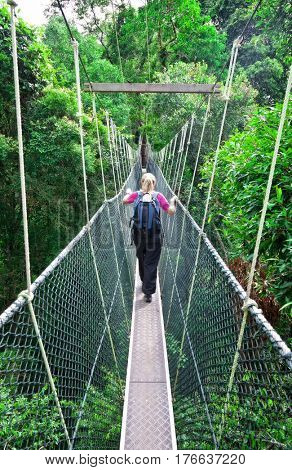 Rainforest Canopy Walkway Borneo Malaysia
