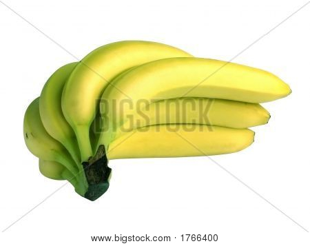 Banaan bos geïsoleerd