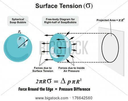 Surface Tension Physics Lesson of spherical soap bubble with all forces arrows and inside air pressure difference and projected area diagram for science education