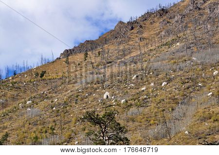 Bare Stony Slope Of The Mountain