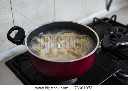 The Process Of Making Dumplings Home. Set. Ukraine.