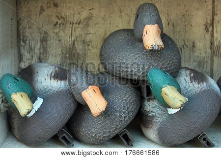 Box of Duck Decoys Leaning on each other