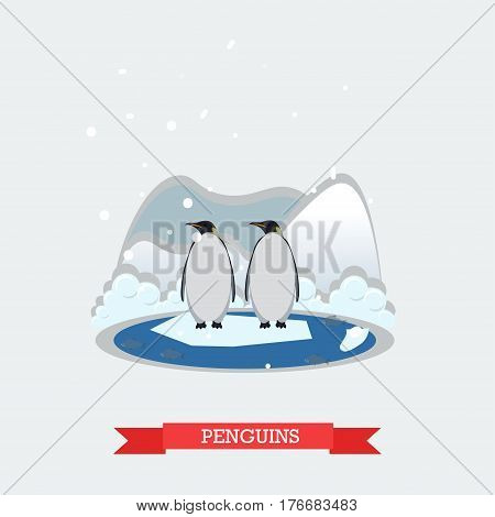 Vector illustration of funny penguins standing on arctic glacier. Wild north landscape and arctic aquatic flightless birds design element in flat style.