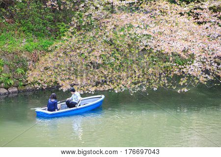 Chidorigafuchi park during the spring season this area is popular sakura spot at Tokyo Japan.