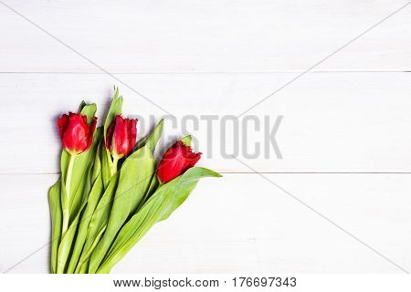 Early tulips on a light wooden background