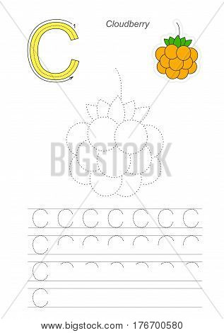 Vector illustrated worksheet to preschool children learn handwriting. Page to be traced for gaming and education with easy educational kid game level. Tracing worksheet for letter C. Cloudberry.