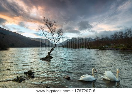 Llyn Padarn In Snowdonia
