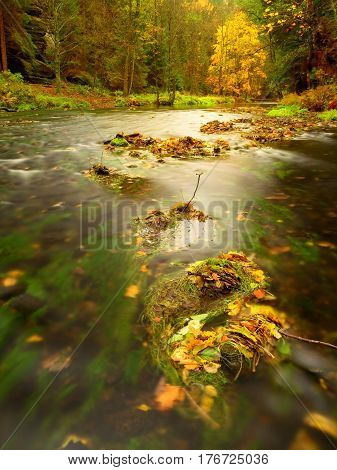 Colorful Autumn Leaves On Boulder In Fall Mountain Stream.