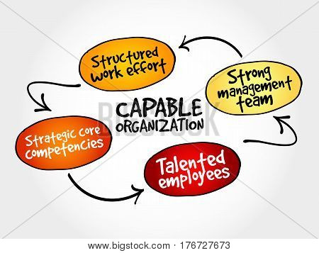 Capable Organization, Strategy Mind Map