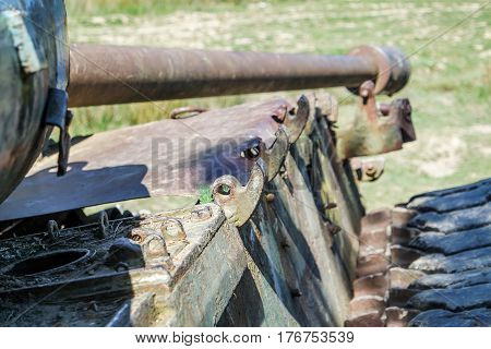 Battle tank in the moor of a forest