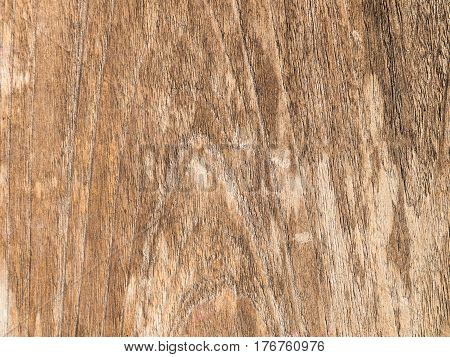 abstract backdrop nature old wood background frame