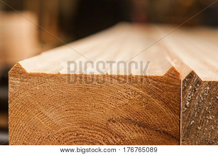 Lumber Industrial Wood Texture, Timber Butts Background
