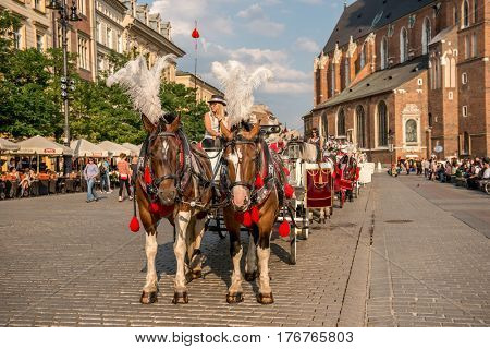 POLAND, KRAKOW- JULY 01: Carriage with lovely big brown horses moving down the cobbled streets in Krakow Poland on July 01, 2015