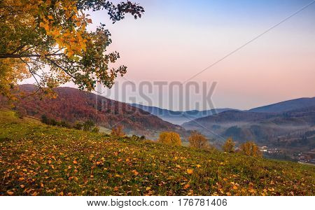 Mountain Rural Area In Autumn