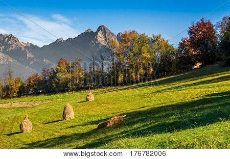Composite High Tatra mountains rural area in autumn season. agricultural field with haystack on a hill near the forest with red foliage. beautiful and vivid landscape.