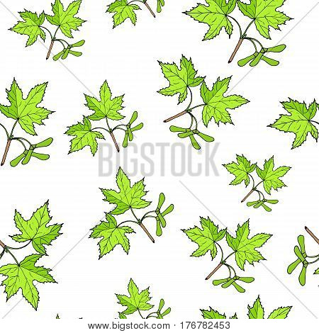 Seamless vector pattern with hand drawn maple tree branches.