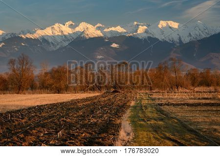 Plowed field in early spring with snowy mountains in background. Warm light landscape before sunset in rural area in Romania