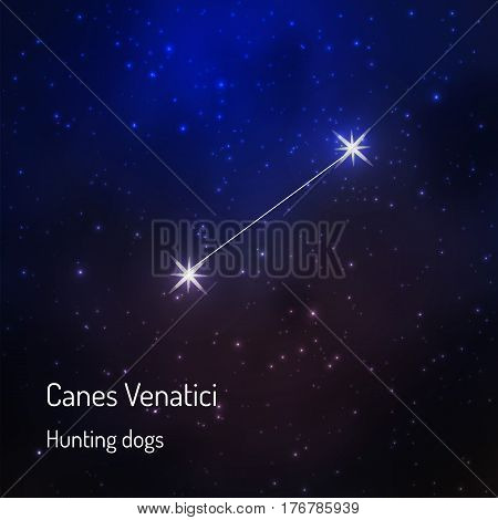 Canes Venatici Hunting dogs constellation in the night starry sky. Vector illustration