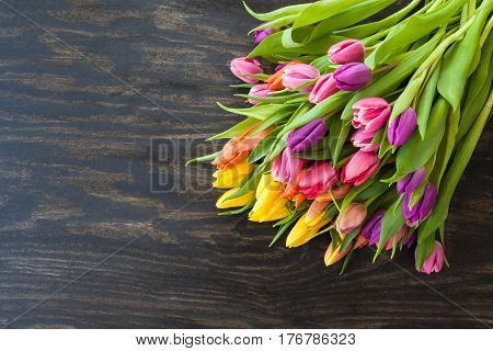 Fresh tulips in bright colors on dark wooden background