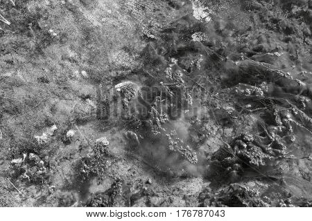 abstract silt and ice water in a pond in the spring for a natural abstract background