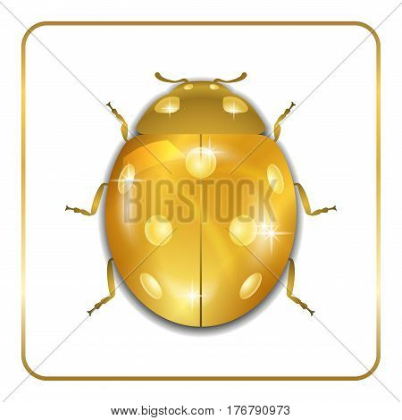 Ladybug Gold Insect Small Icon
