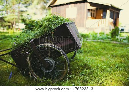 A wheelbarrow with mown grass against the backdrop of a village house.
