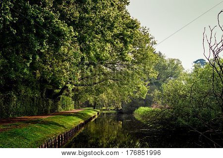 A path runs by the canal in a park at Bussum the Netherlands The place is perfect for an afternoon walk.