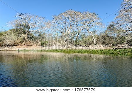 Bird Island On The Lake Of Suchitlan Near Suchitoto