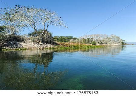 Bird Island On The Lake Of Suchitlan Near Suchitoto