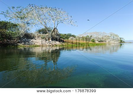 Bird Island On The Lake Of Suchitlan Near Suchitoto