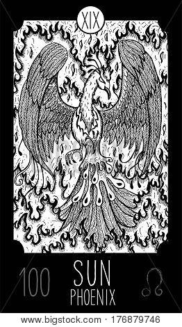 Sun. 19 Major Arcana Tarot Card. Phoenix. Fantasy engraved line art illustration. Engraved vector drawing. See all collection in my portfolio set