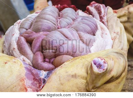 Guts inside a cut pig. Chitterlings raw