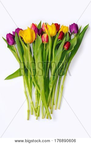 Bouquet of multicoloured tulips on white background.