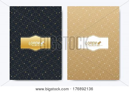 Modern vector template for brochure, Leaflet, flyer, cover, booklet, magazine or annual report. A4 size. Abstract golden presentation book layout. Geometric pattern with connected lines and dots