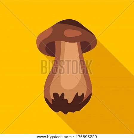 Boletus mushroom icon. Flat illustration of boletus mushroom vector icon for web isolated on yellow background