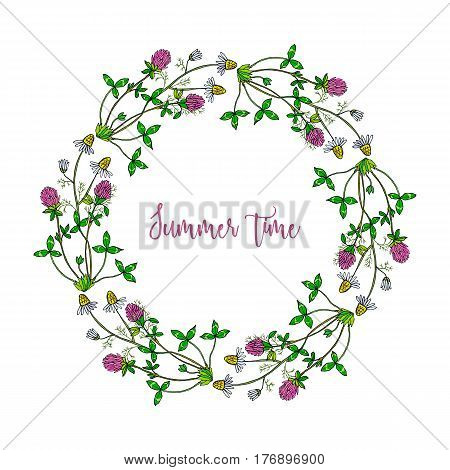 Hand drawing wild herbs wreath - clover and chamomille
