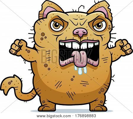 Angry Ugly Cat