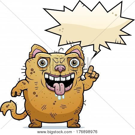 Ugly Cat Talking