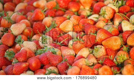 Fresh Strawberries Background In Thai Market , Picture For Backgroundd