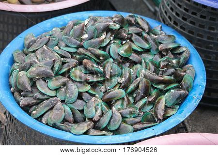 Fresh shellfish in Thailand market, street food