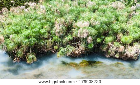 Fonte Arethusa (spring Of Arethusa) In Syracuse