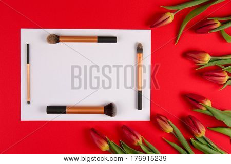 Make up brushes arranged on white blank paper and spring flowers tulips on red background. Top view. Flat lay. Copy space for text