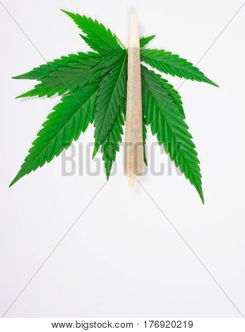 Medical Marijuana.