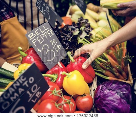 People is shopping at organic groceries shop