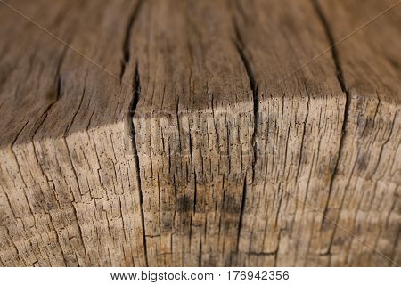 Tree bark background and texture. Wood texture of cut tree trunk. Abstract texture and background for designers. Closeup view of wood lines and circles.