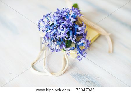 Spring Concept With Hyacinth