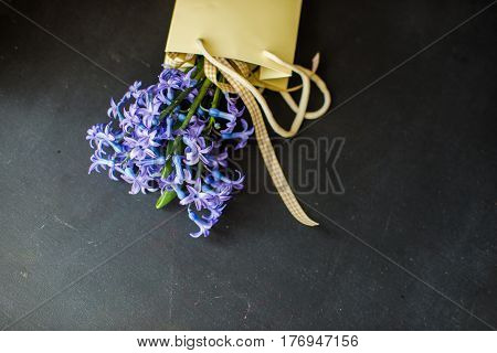 Spring Concept With Hyacinth