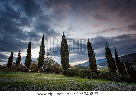 Casale Marittimo, Pisa, Tuscany - Italy